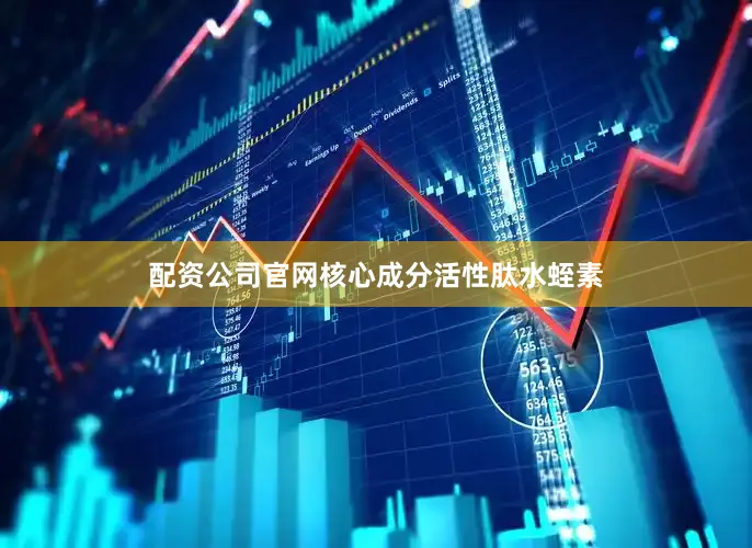 配资公司官网核心成分活性肽水蛭素